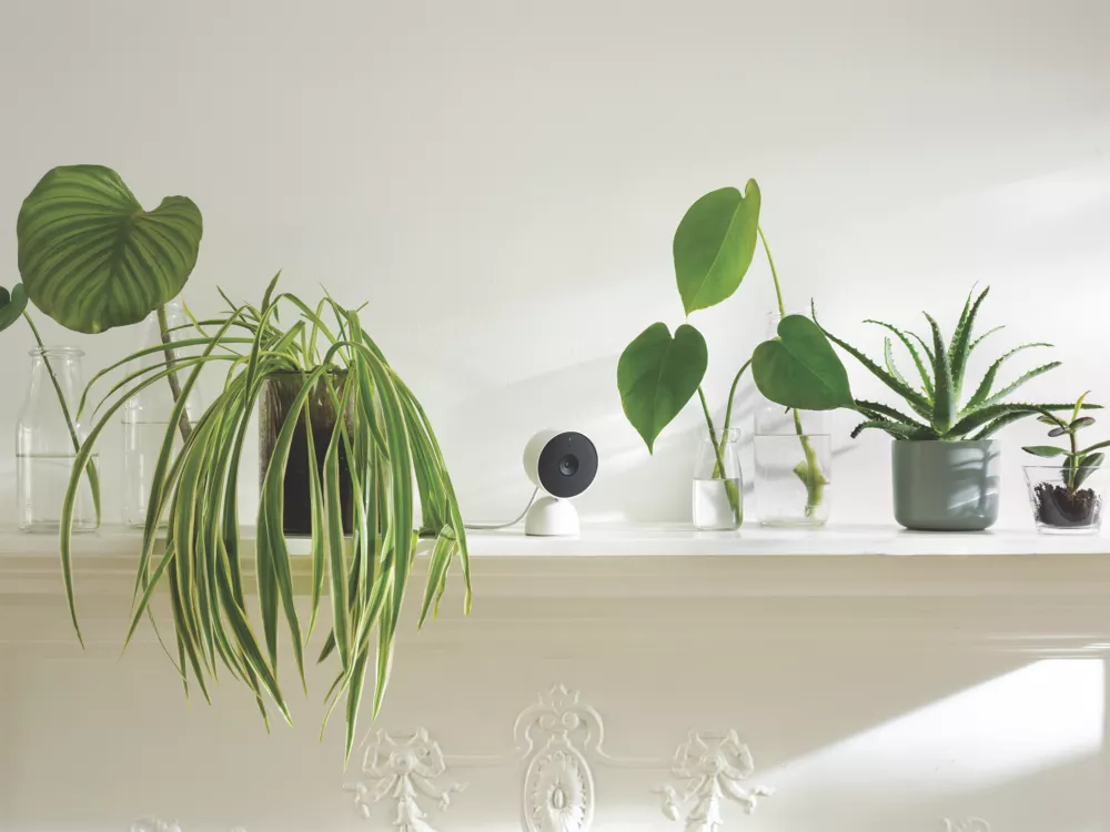 Google Nest GA01998-GB 12V Power Supply White Wired 1080p Indoor Round Smart Camera - Image 3