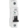 MK Sentry 6A SP Type C MCB